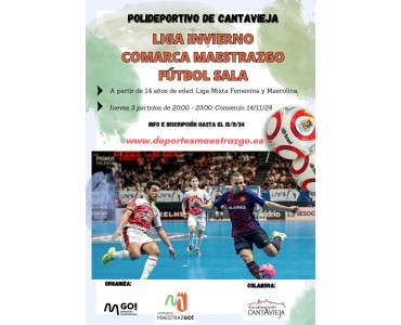 LIGA FÚTBOL SALA COMARCA MAESTRAZGO